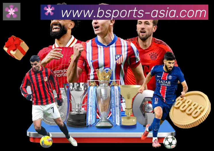 Bsports官网荣誉