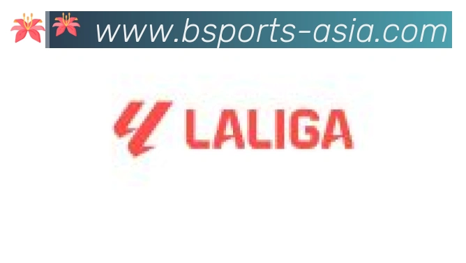 Bsports官网合作伙伴