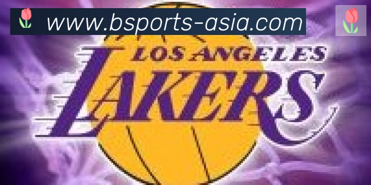 Bsports官网合作伙伴