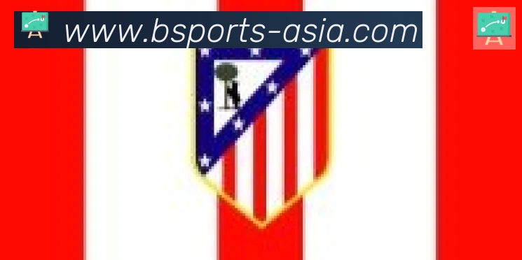 Bsports官网合作伙伴