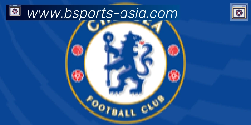 Bsports官网合作伙伴